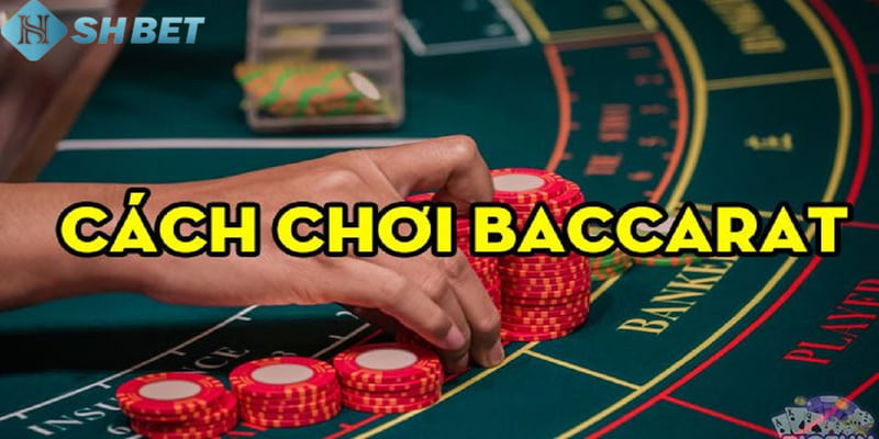 Phương pháp chơi baccarat luôn thắng từ cao thủ