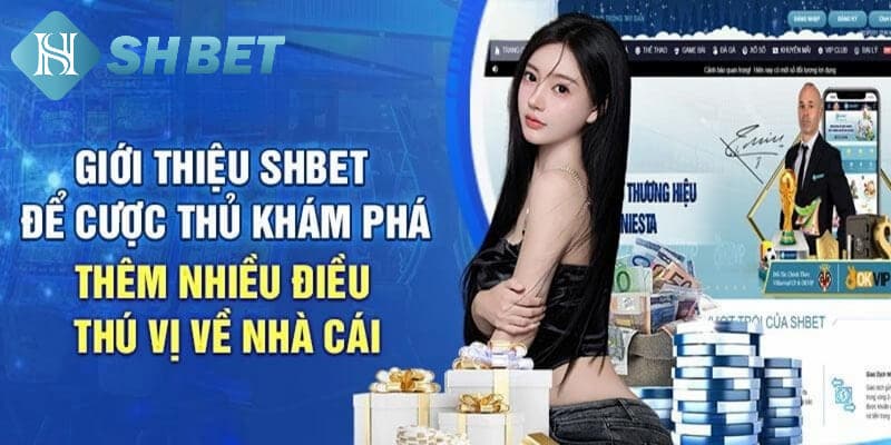 Những lý do anh em nên tham gia cá cược tại SHBET