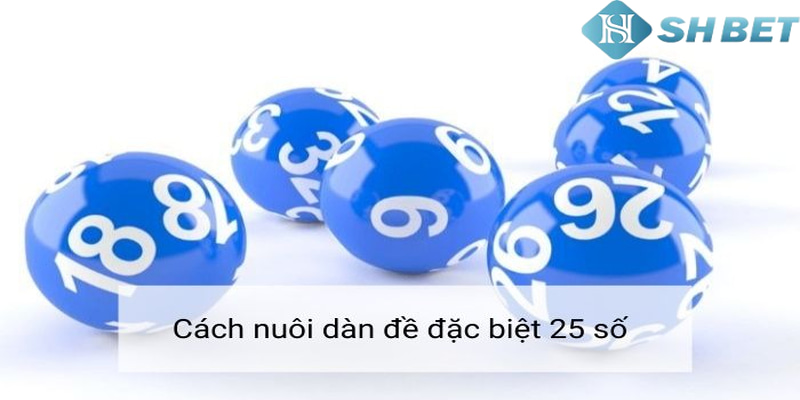 Tổng quát về dàn đề 25 số là gì?