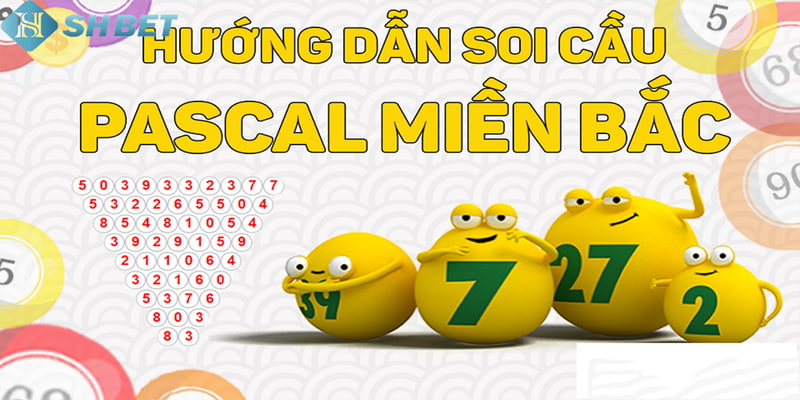 Hướng dẫn cách soi cầu Pascal chuẩn chuyên gia